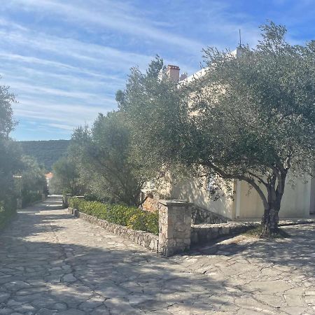 Villa Thetis ビゴヴォ エクステリア 写真